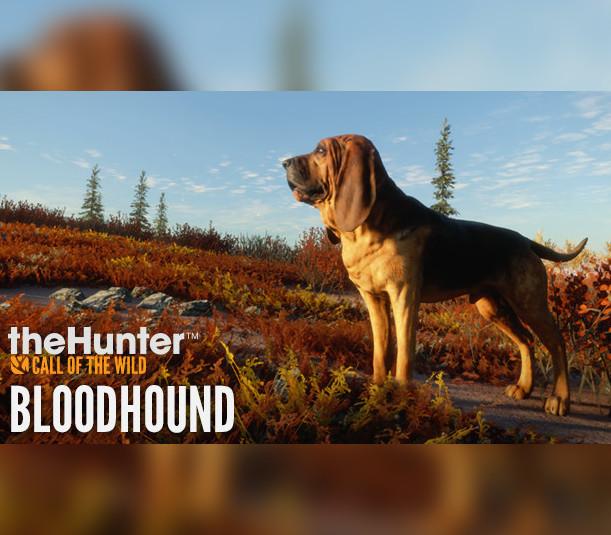 theHunter: Call of the Wild - Bloodhound DLC PC Steam CD Key (valid until March, 2027)