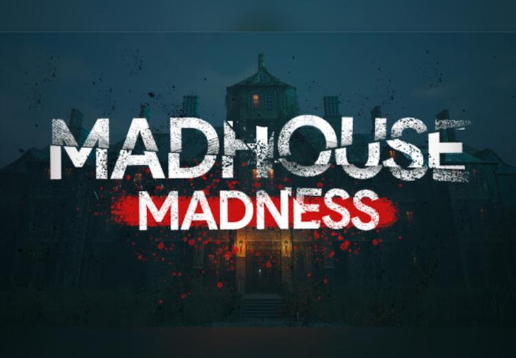 Madhouse Madness: Streamer'S Fate بي سي ستيم كود رقمي