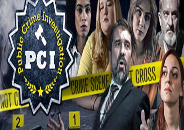 PCI Public Crime Investigation ستيم كود رقمي