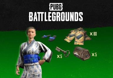 PUBG Battlegrounds - 2023 Summer Pack DLC اكسبوكس 1 / إكس بوكس سيريس X|S كود رقمي