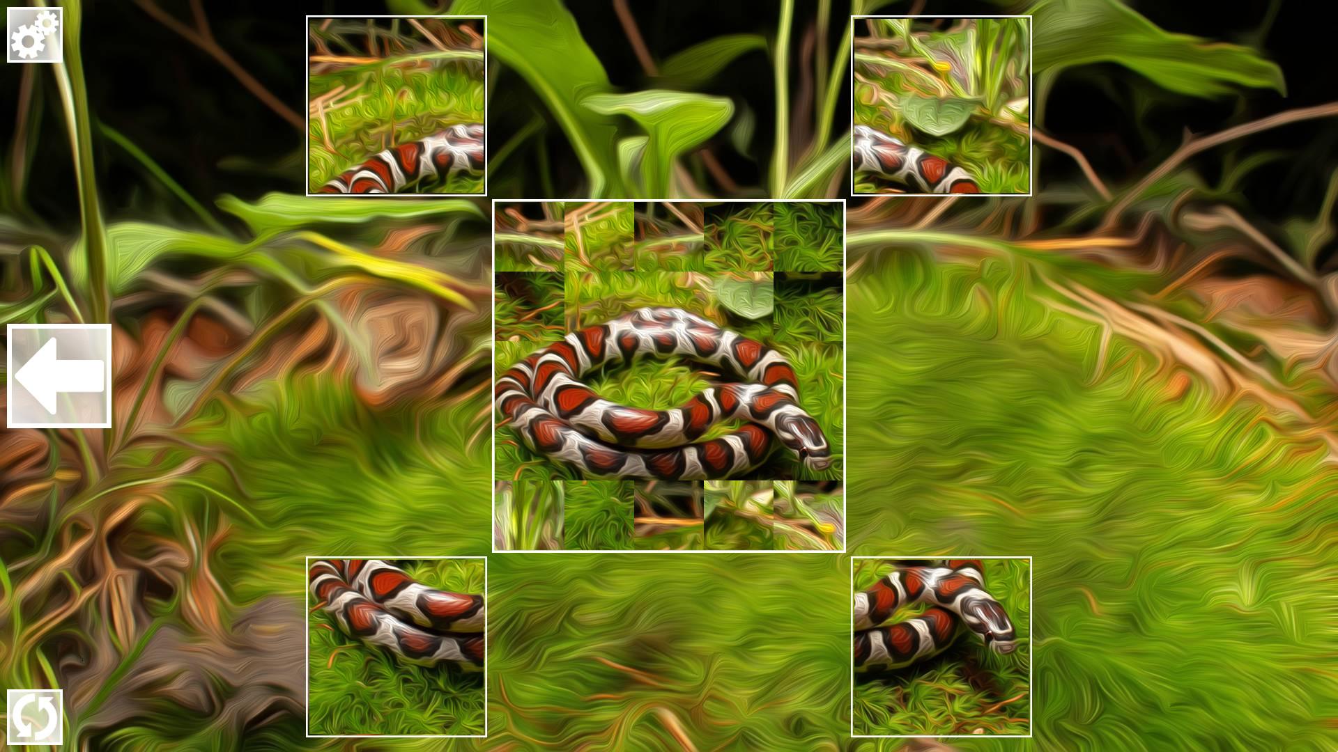 Screen Shot image 4 Puzzle Art: Snakes بي سي ستيم كود رقمي