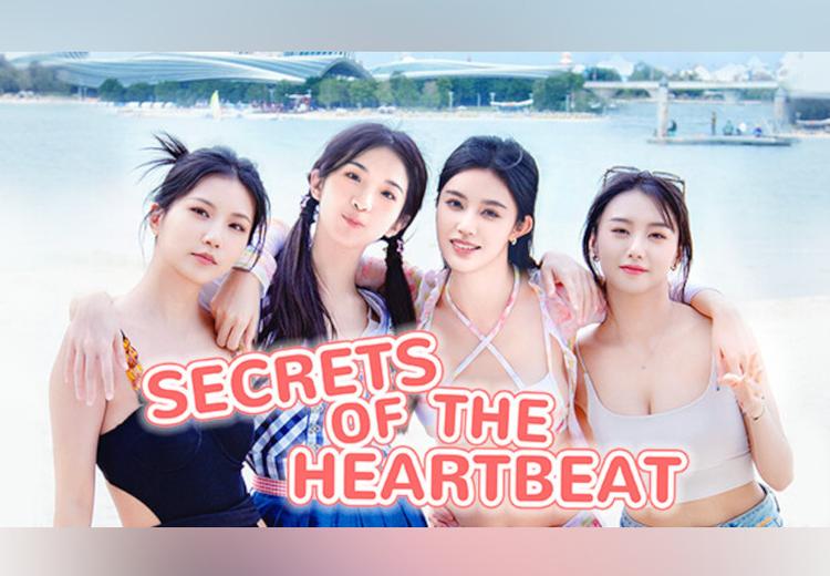 Secrets Of The Heartbeat بي سي ستيم كود رقمي