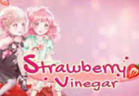 Strawberry Vinegar بي سي ستيم كود رقمي