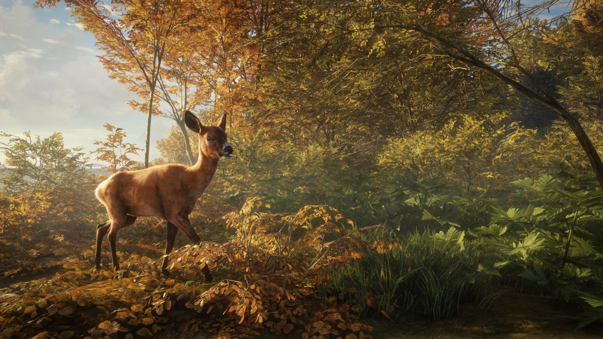 Screen Shot image 12 TheHunter: Call Of The Wild اولتمت Hunting حزمة اكسبوكس 1 / إكس بوكس سيريس X|S حساب