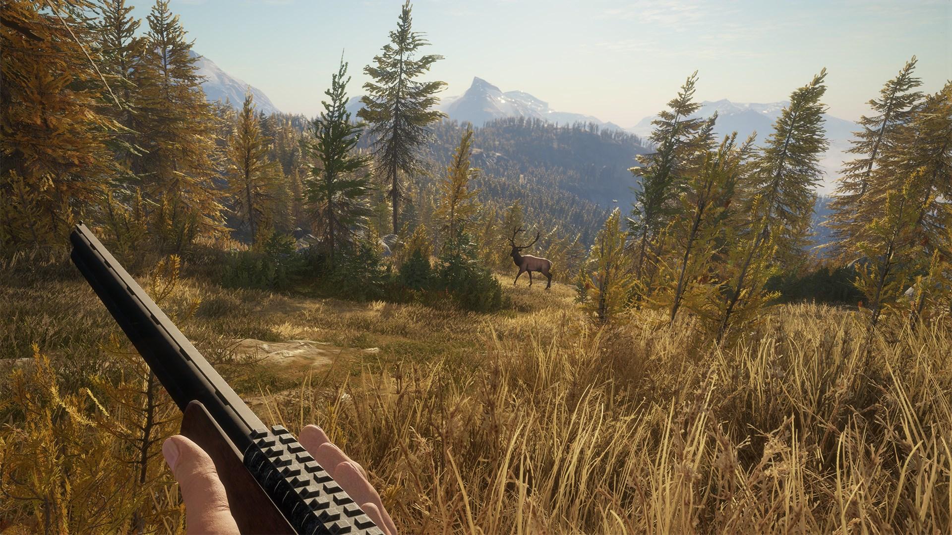 Screen Shot image 8 TheHunter: Call Of The Wild اولتمت Hunting حزمة اكسبوكس 1 / إكس بوكس سيريس X|S حساب