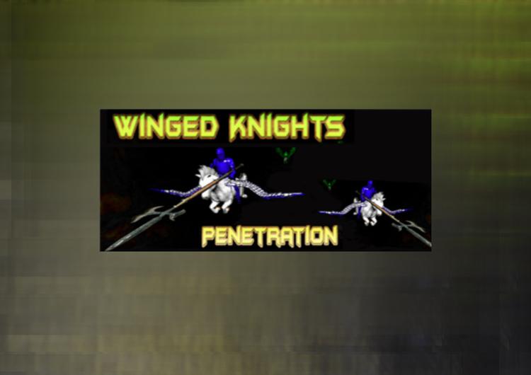 Winged Knights: Penetration ستيم كود رقمي