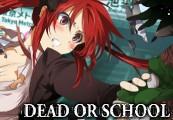 Dead Or School رابط هديه ستيم