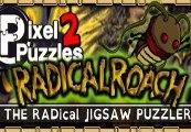 Pixel Puzzles 2: RADical ROACH ستيم كود رقمي
