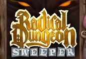 Radical Dungeon Sweeper ستيم كود رقمي