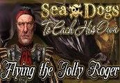 Sea Dogs: To Each His Own - Flying The Jolly Roger DLC ستيم كود رقمي