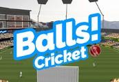 Balls! Virtual Reality Cricket ستيم كود رقمي