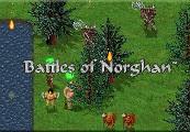 Battles Of Norghan ستيم كود رقمي