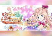 Atelier Meruru ~The Apprentice Of Arland~ DX بي سي ستيم كود رقمي