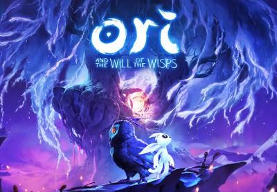 Ori And The Will Of The Wisps ستيم كود رقمي