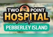 Two Point Hospital - Pebberley Island DLC أمريكا الشمالية/Oceania/Africa بي سي ستيم كود رقمي