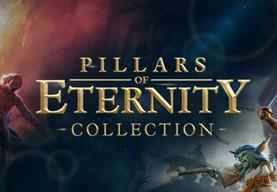 Pillars Of Eternity Collection حزمة (Standard) ستيم كود رقمي