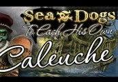 Sea Dogs: To Each His Own - The Caleuche DLC ستيم كود رقمي