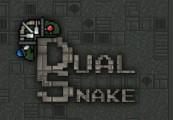 Dual Snake ستيم كود رقمي