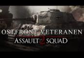 Men Of War: Assault Squad 2 - Ostfront Veteranen DLC بي سي ستيم كود رقمي