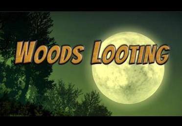 Woods Looting ستيم كود رقمي