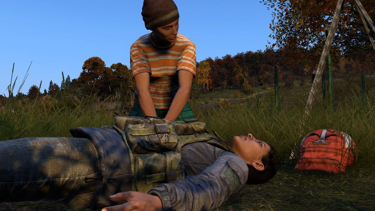 DayZ بلايستيشن 5 حساب