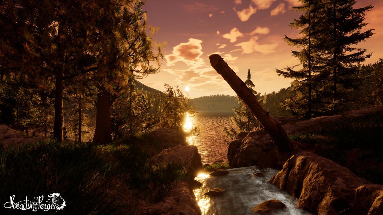 Reaching For Petals: VR اصدار ستيم كود رقمي