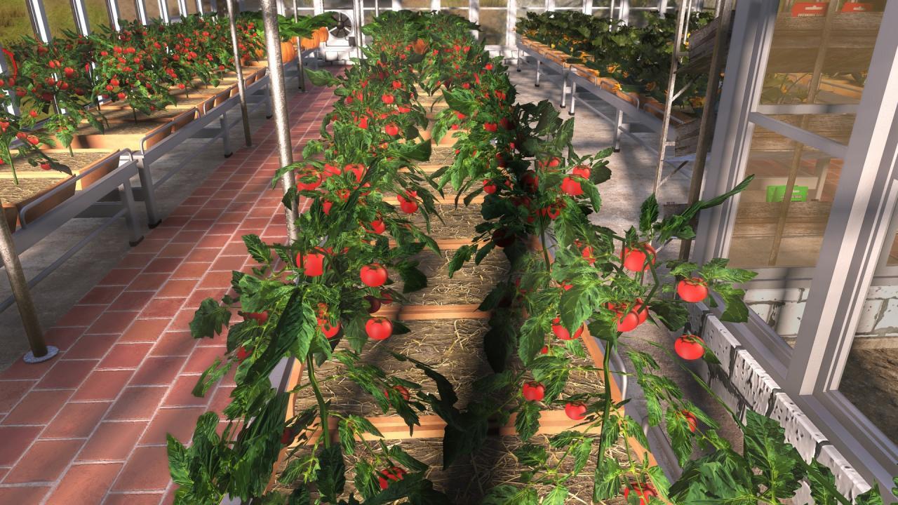 Farmer'S Dynasty اوروبي ستيم كود رقمي