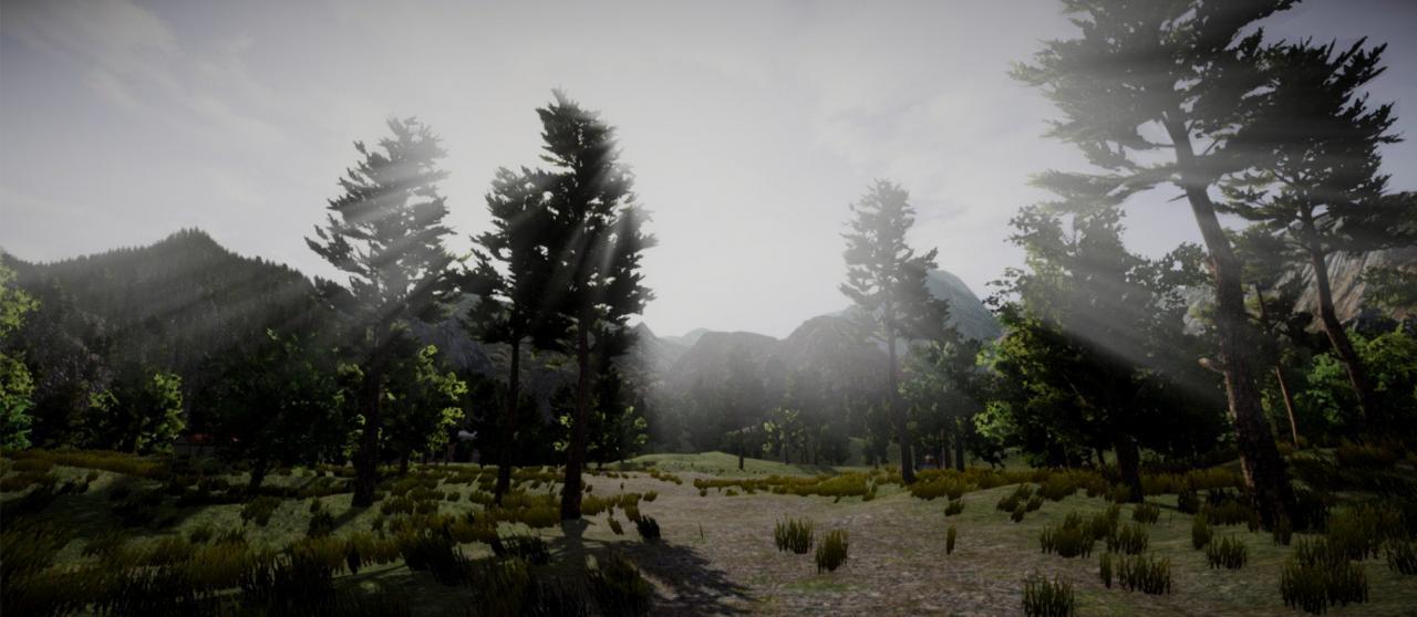 The Secrets Of The Forest ستيم كود رقمي