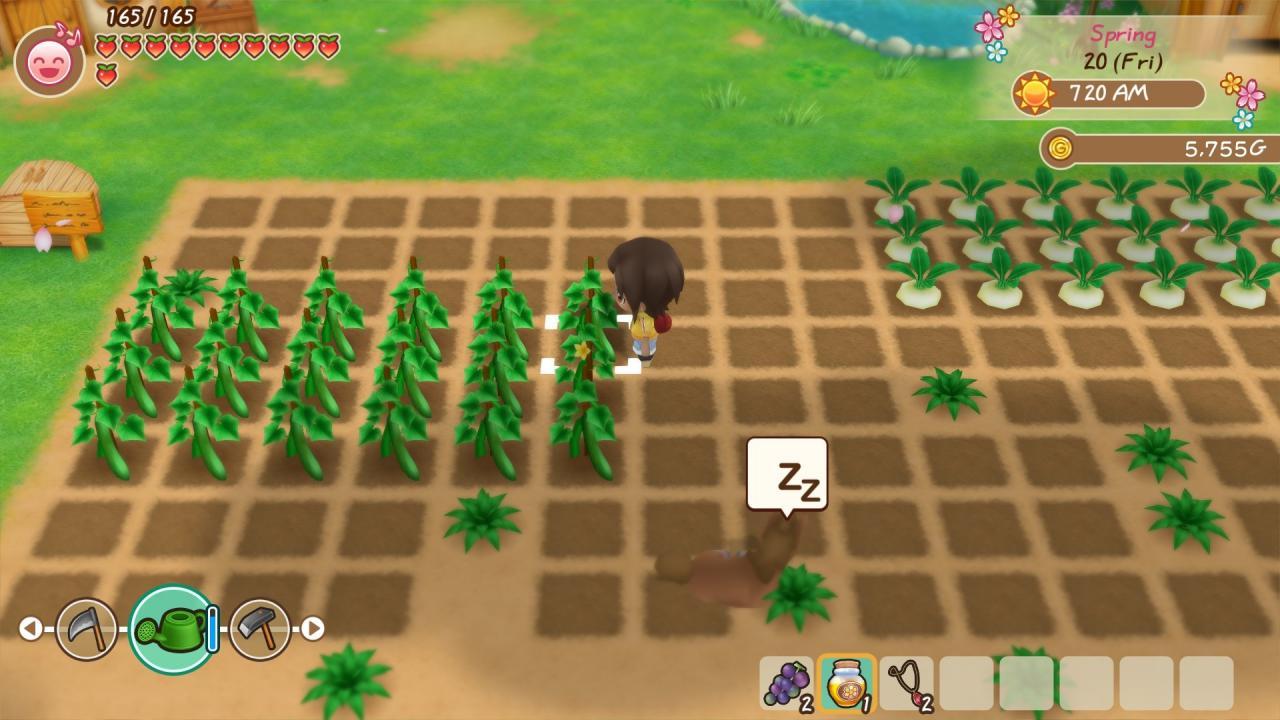 STORY OF SEASONS: Friends Of Mineral Town اوروبي رابط هديه ستيم