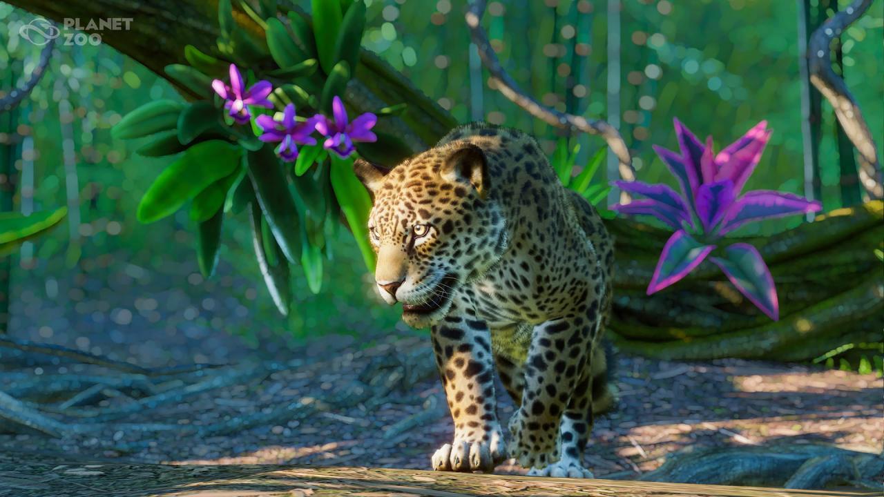 Planet Zoo - South America Pack DLC EMEA بي سي ستيم كود رقمي