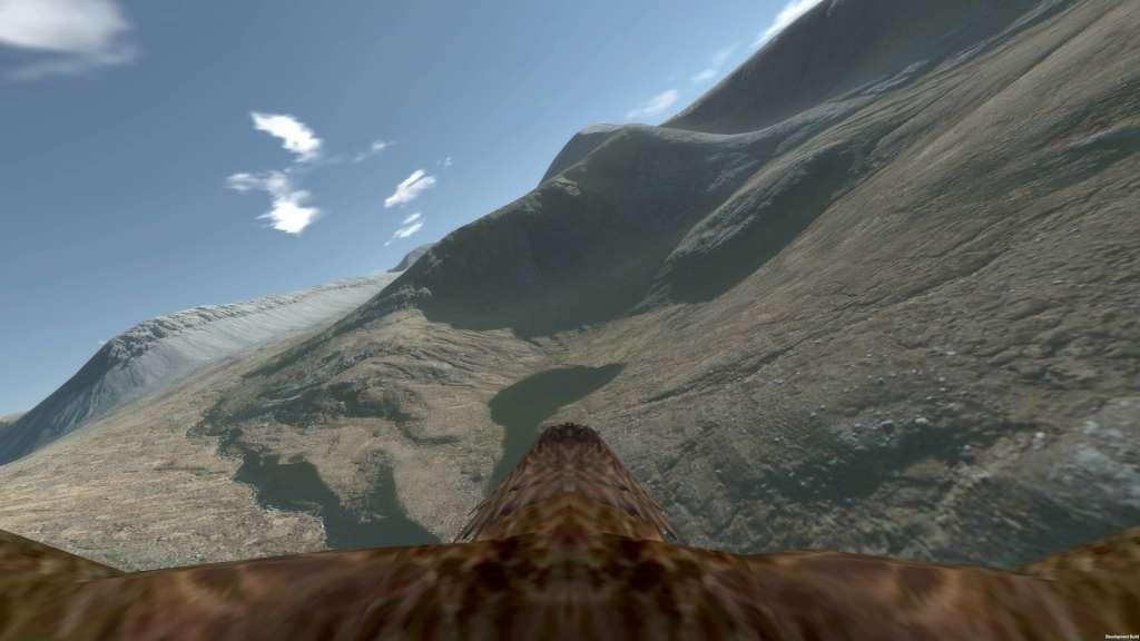 Aquila Bird Flight Simulator ستيم كود رقمي