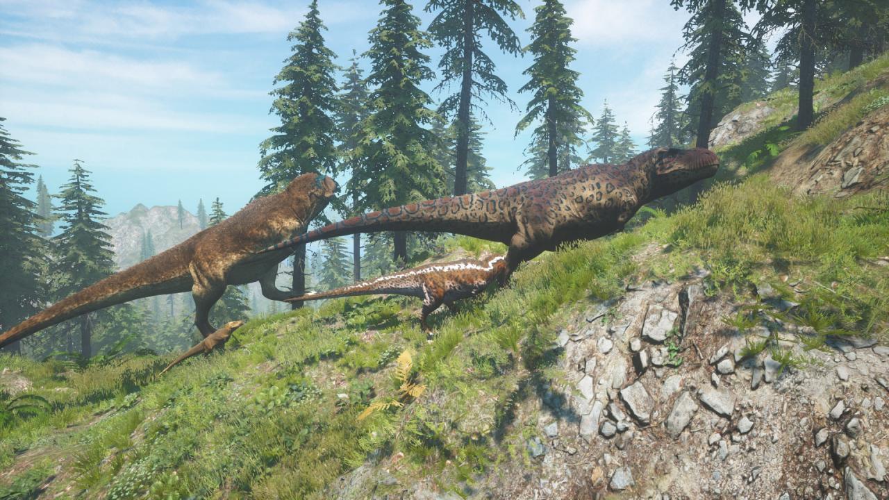 Beasts Of Bermuda اوروبي بي سي رابط هديه ستيم