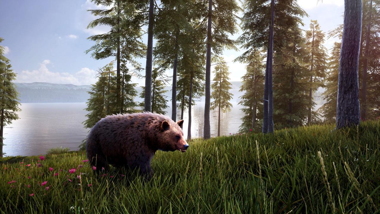 Hunting Simulator 2 Bear Hunter اصدار امريكي اكسبوكس 1 كود رقمي