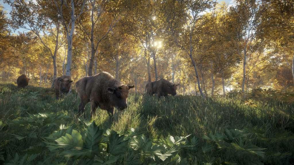 TheHunter: Call Of The Wild امريكي ستيم كود رقمي