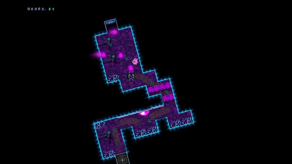 Life Beetle ستيم كود رقمي