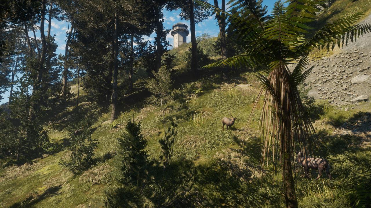TheHunter: Call Of The Wild - Te Awaroa National Park DLC ستيم كود رقمي
