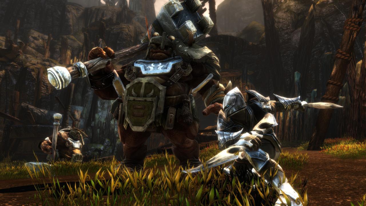 Kingdoms Of Amalur: Re-Reckoning اوروبي بي سي ستيم كود رقمي
