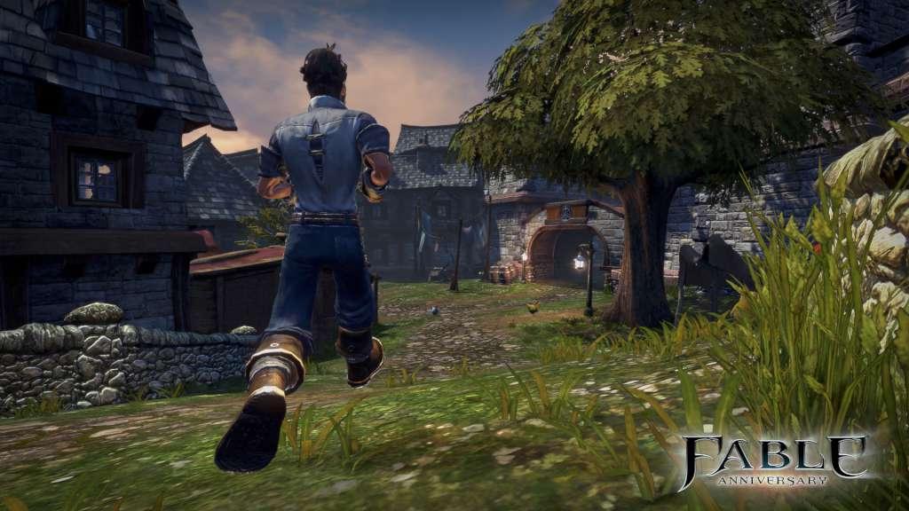 Fable Anniversary اوروبي ستيم كود رقمي