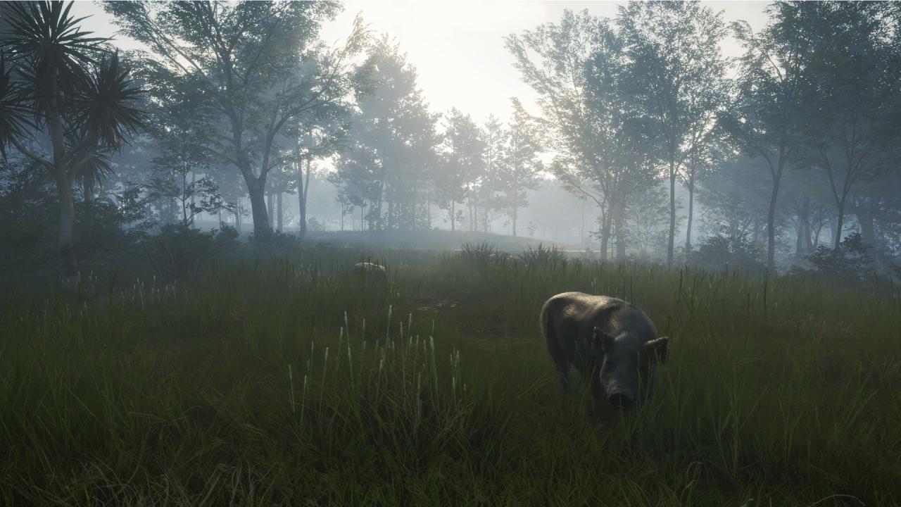 TheHunter: Call Of The Wild - Te Awaroa National Park DLC ستيم كود رقمي