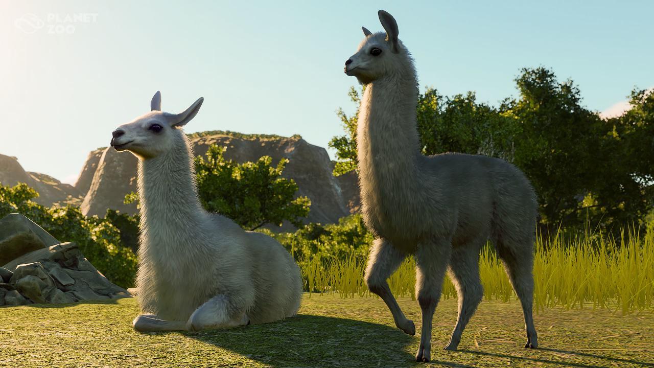 Planet Zoo - South America Pack DLC بي سي اوروبي رابط هديه ستيم