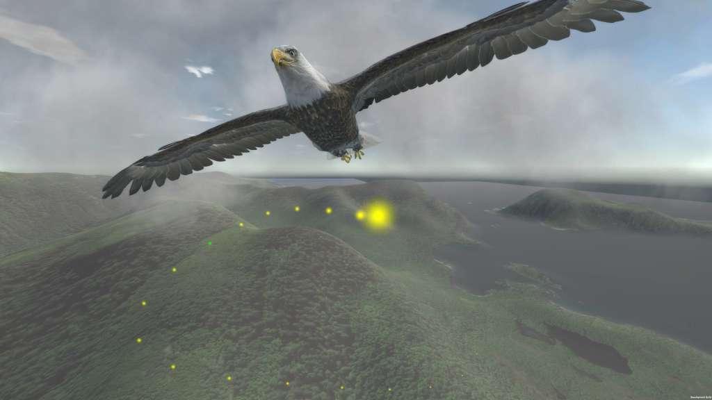 Aquila Bird Flight Simulator ستيم كود رقمي