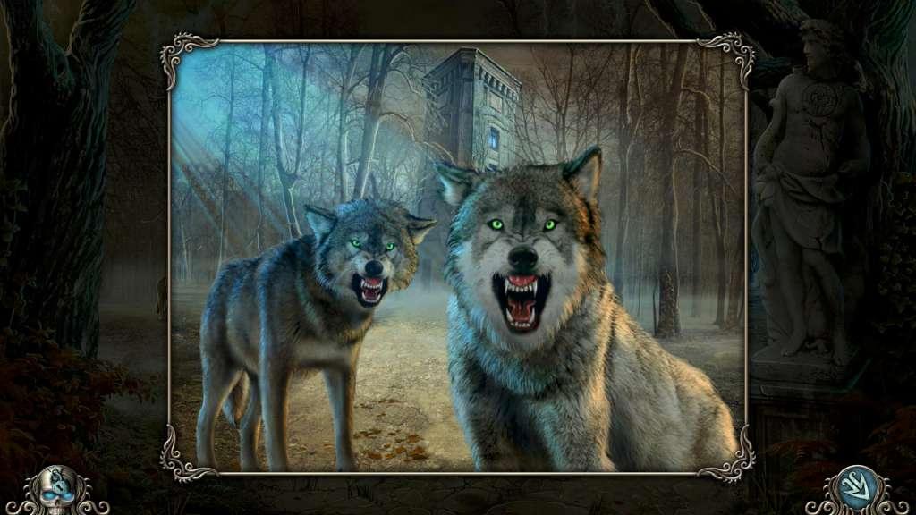 Cursed ستيم كود رقمي