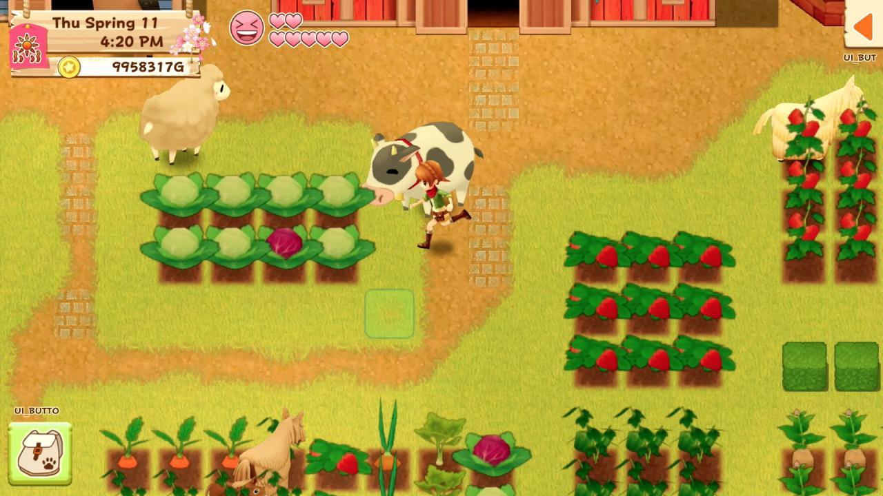 Harvest Moon: Light Of Hope Special اصدار ستيم كود رقمي