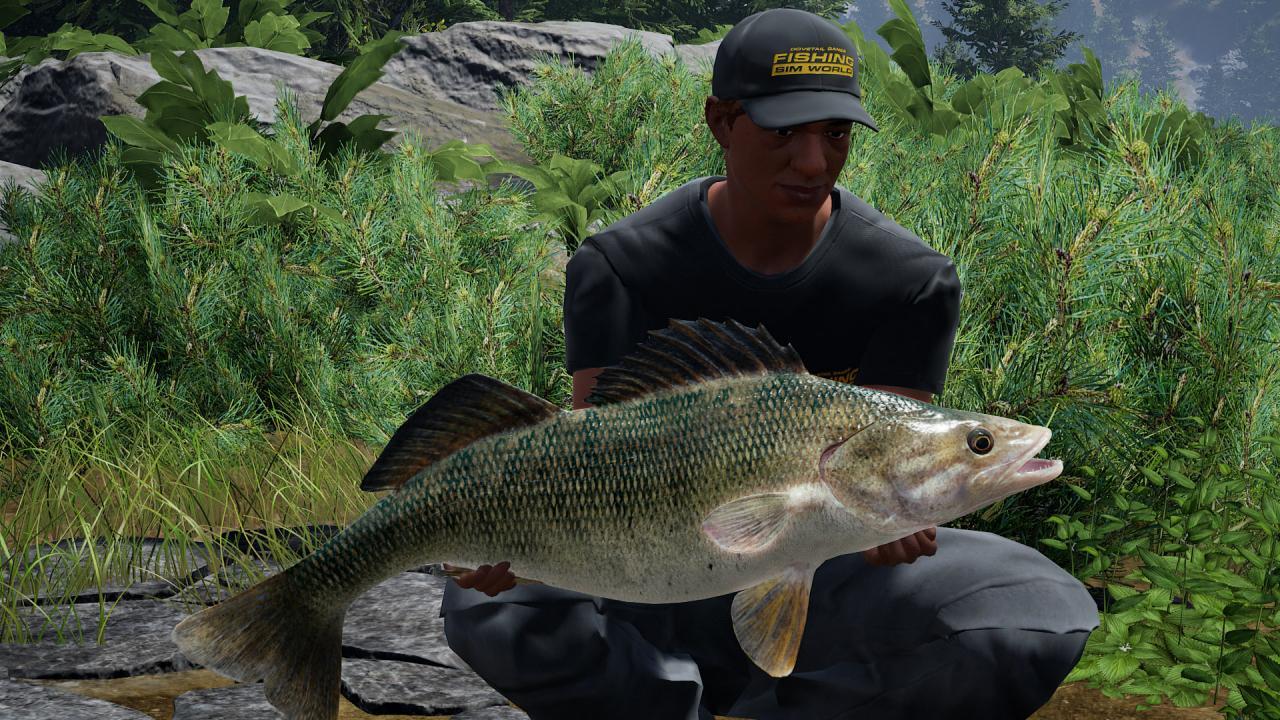 Fishing Sim World - Quad Lake Pass DLC ستيم كود رقمي