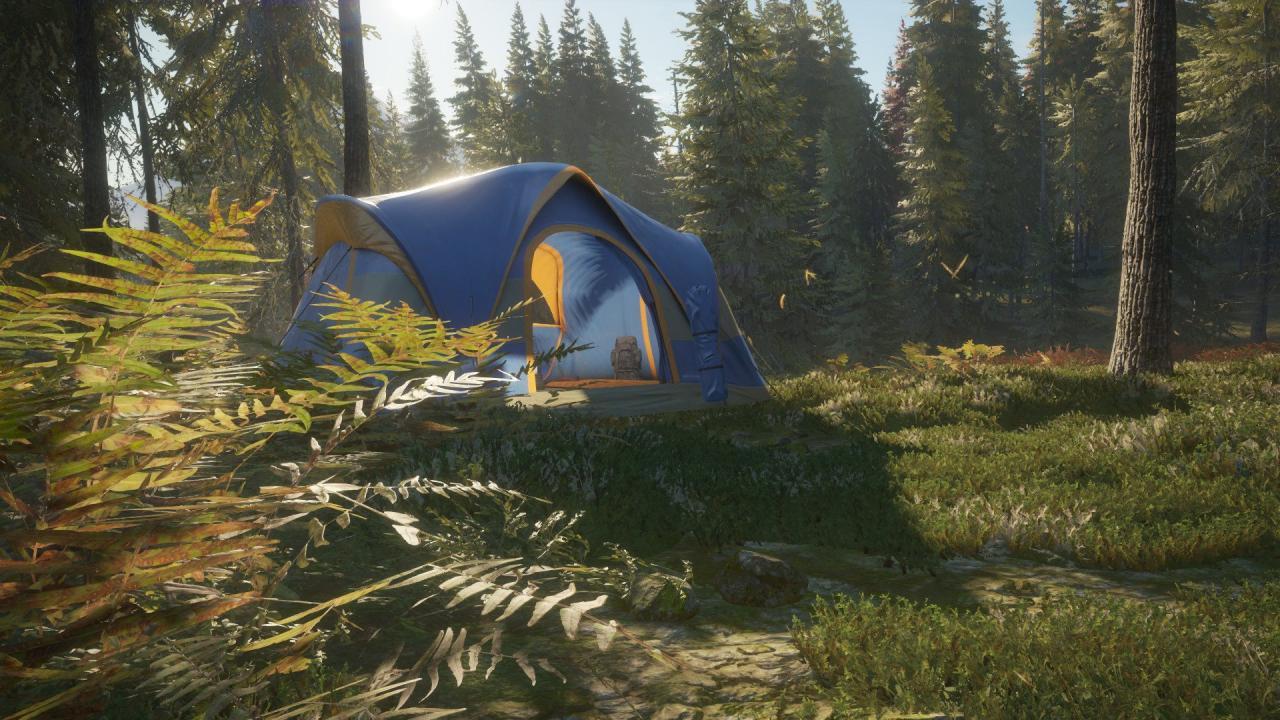 TheHunter: Call Of The Wild - Tents & Ground Blinds DLC ستيم كود رقمي