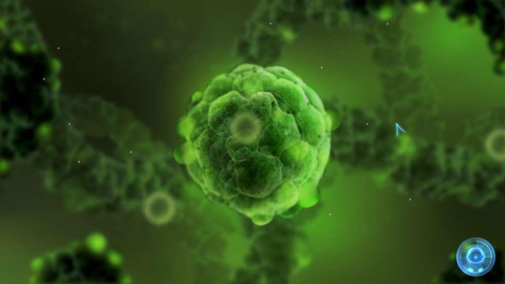 Inside Me ستيم كود رقمي