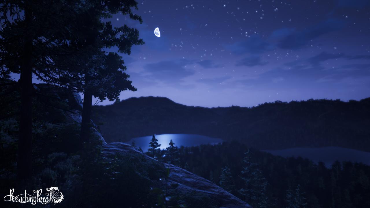 Reaching For Petals: VR اصدار ستيم كود رقمي