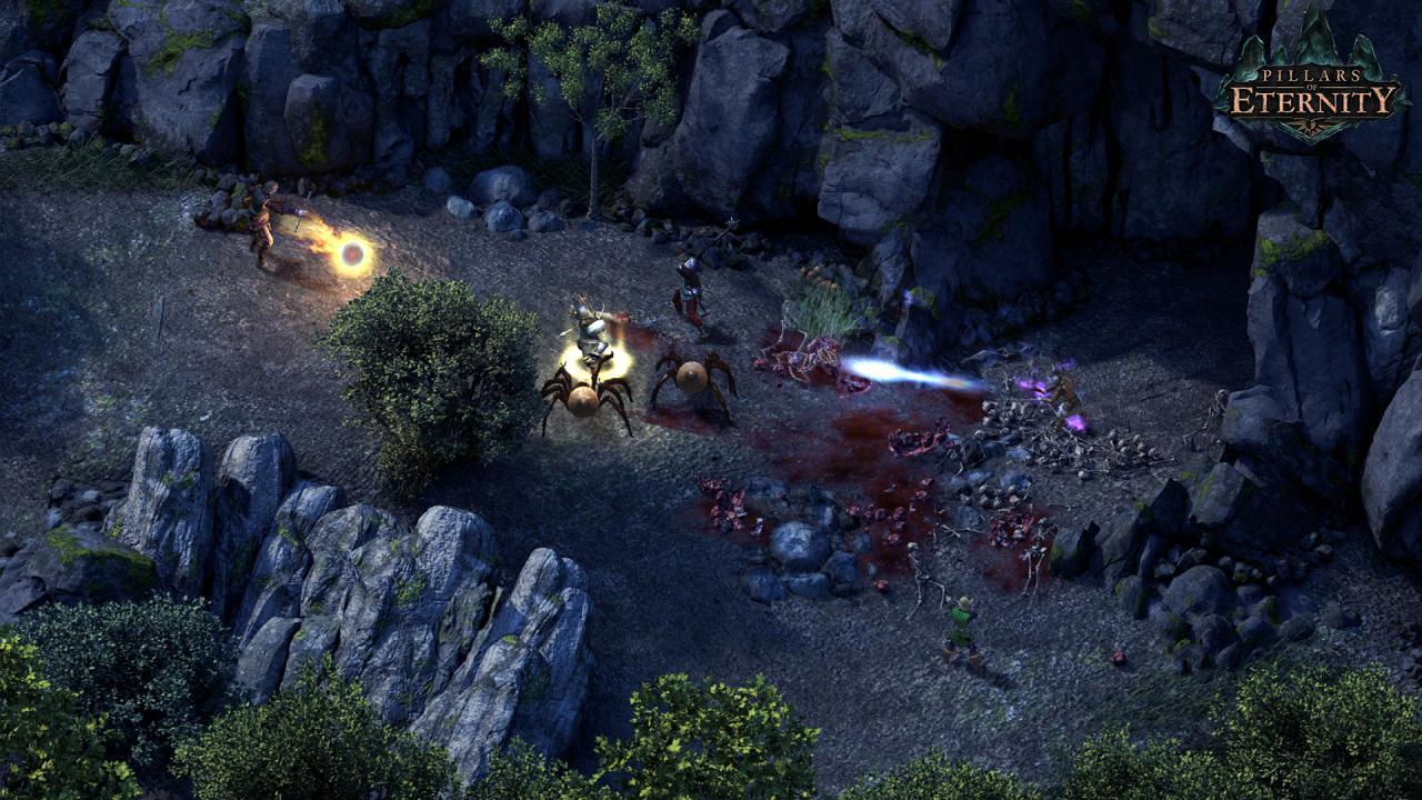 Pillars Of Eternity Collection حزمة (Standard) ستيم كود رقمي