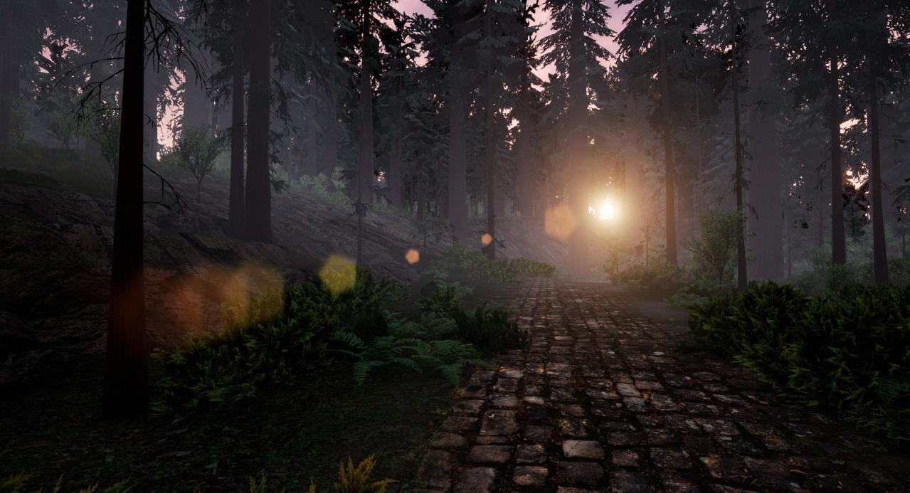 DARCO - Reign Of Elements بي سي ستيم كود رقمي