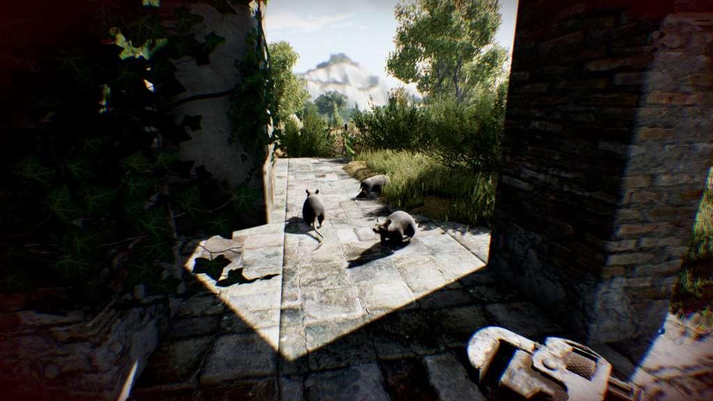 Die Young اوروبي ستيم كود رقمي